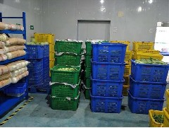 江门蔬菜配送储藏间的卫生管理
