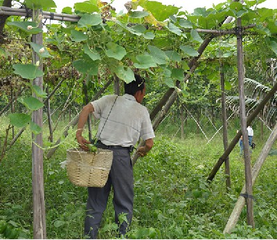 蔬菜配送公司：食堂承包的菜品、卫生、服务的质量稳定靠什么来保持？