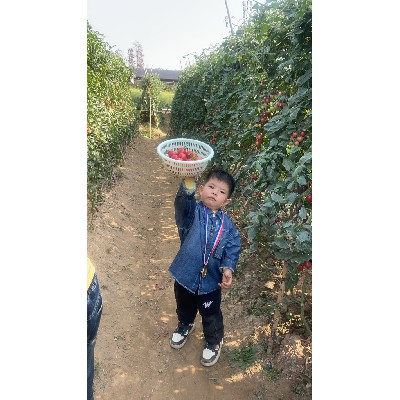 自产场地