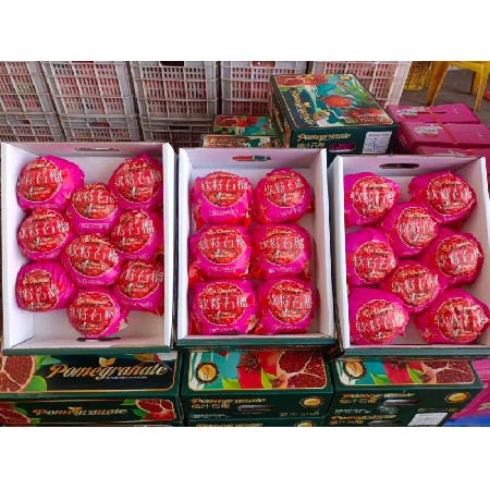 新鲜水果