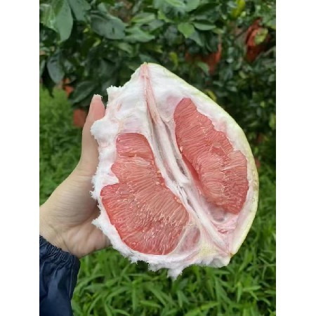 新鲜水果