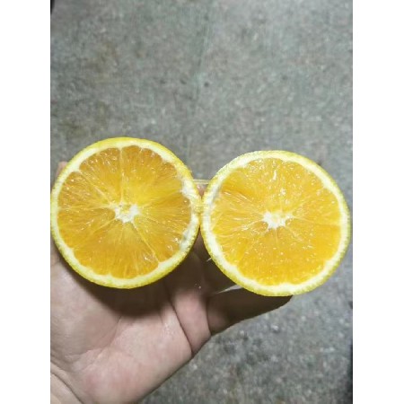 新鲜水果