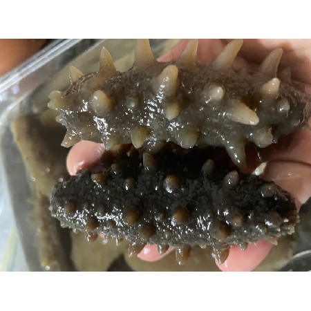 肉类配送