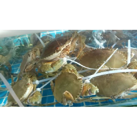 肉类配送