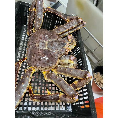 肉类配送