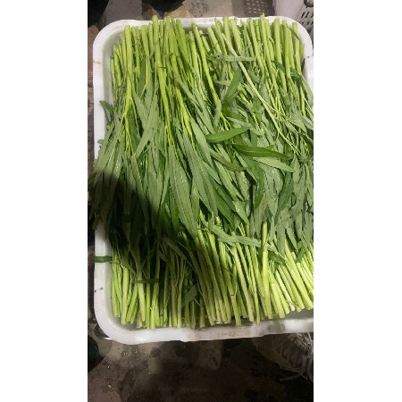 蔬菜配送