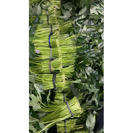 蔬菜配送