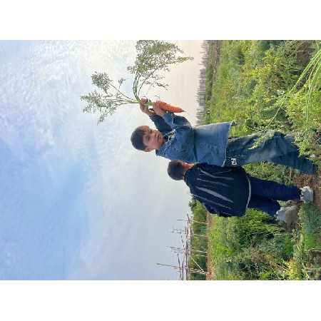 自产场地