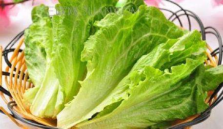 蔬菜配送公司